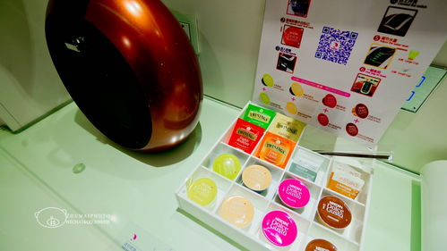 南國(guó)花都,冬日綻放最美郁金香